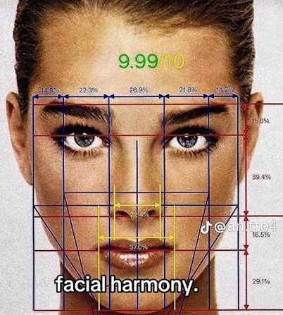 Иллюстрация к статье: Facial Harmony