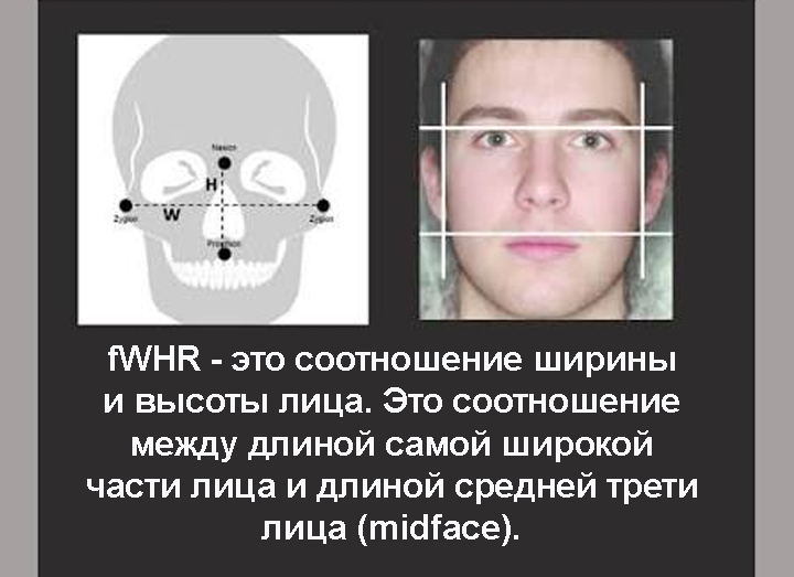 Как измерить fWHR на лице