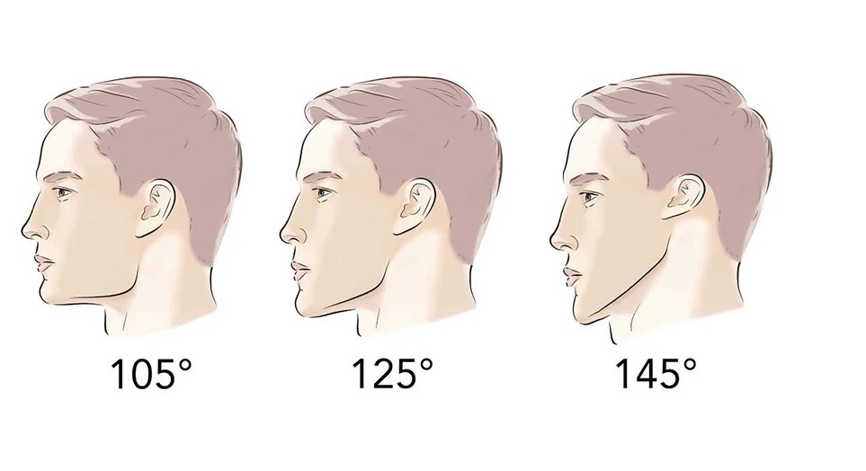 Схема gonial angle: ветвь и тело нижней челюсти
