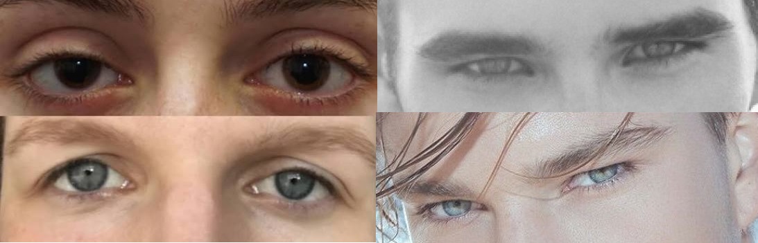 Признаки Prey Eyes и Hunter Eyes: форма глаз, верхнее веко, белок под радужкой и брови